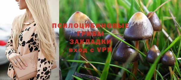 дурь Кукмор