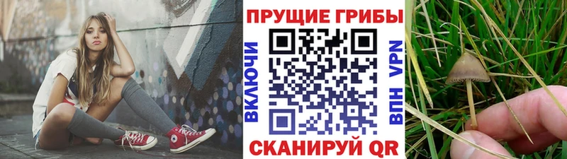 Галлюциногенные грибы ЛСД  Купить где  Ирбит 